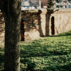 little wretchedness #6