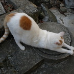 のび。