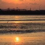 干潟の夕景