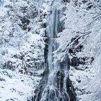 雪中天滝