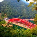 木々の隙間から
