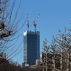 冬景色