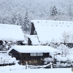 雪降る里山 (510T)