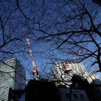 渋谷、桜丘町　１
