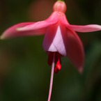 IMG_5151