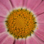 IMG_0199