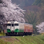 小湊鉄道の春！⑧