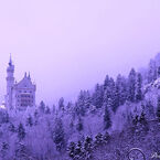 Schloss Neuschwanstein～Snow～