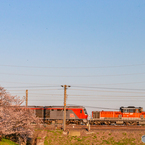 2020.4.6 DD51 1801+DF200-206  8075レ