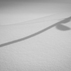 DSCF0593