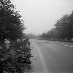 IMG005