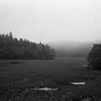 IMG006