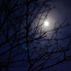 停電の夜