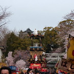 犬山祭り　６