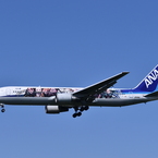 ANA 545