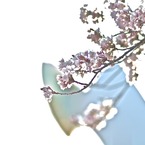 たいようのとう
