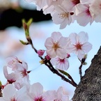 IMG_1061 (1)