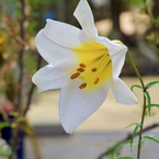 P1040640