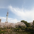墨田公園にて①