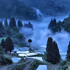 朝霧沸く棚田と棚池