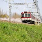 さくらと近鉄電車