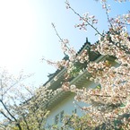 和歌山城