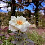 IMG_2708