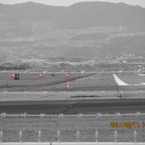 IMG_0458