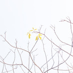 「IMG_2347