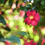 P1050333