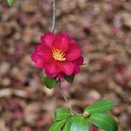 P1050408