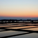 田園
