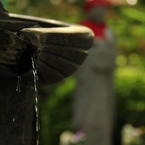 photo_1163818