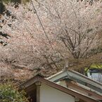 月輪寺　６