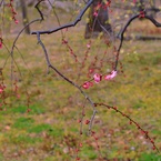 P1050649