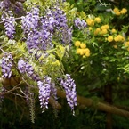 P1070331