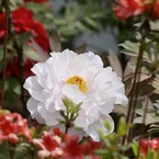 P1070316