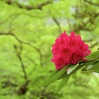 P1070604