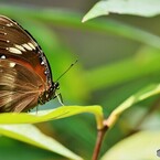 ２０２３生物園～ⅴ