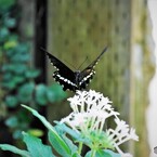 ２０２３生物園～ⅵ