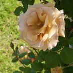 P1080159