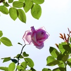P1080435