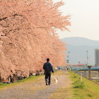 はるさんぽ
