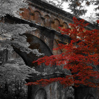 水路閣５　紅の世界