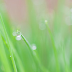 雨の日のhappy