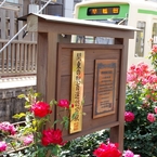 バラと都電8