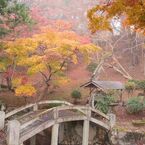 秋の尾関山公園とその周辺散歩