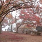 秋の尾関山公園とその周辺散歩