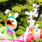 あ、あれみて！