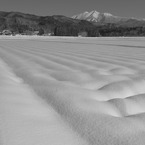 雪藪より